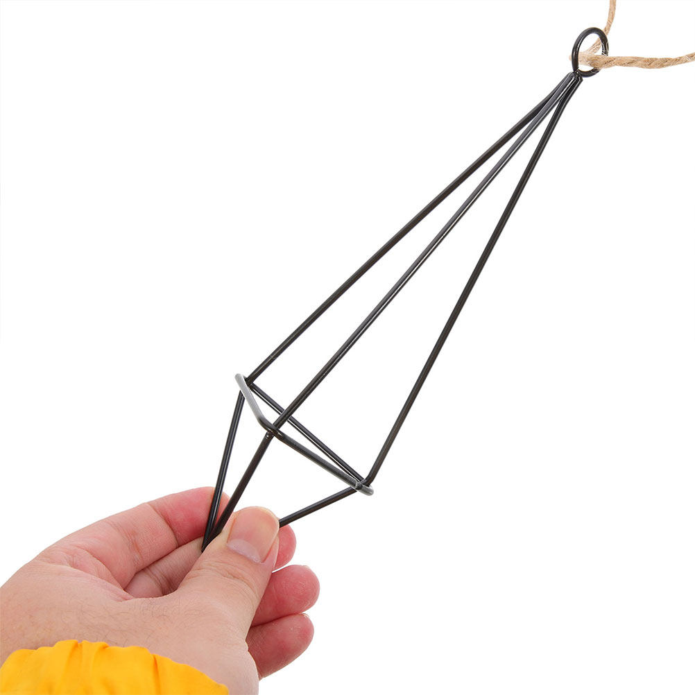 Spider Plant Hanging - 2Pcs Hanging Air Plant Holder Metal