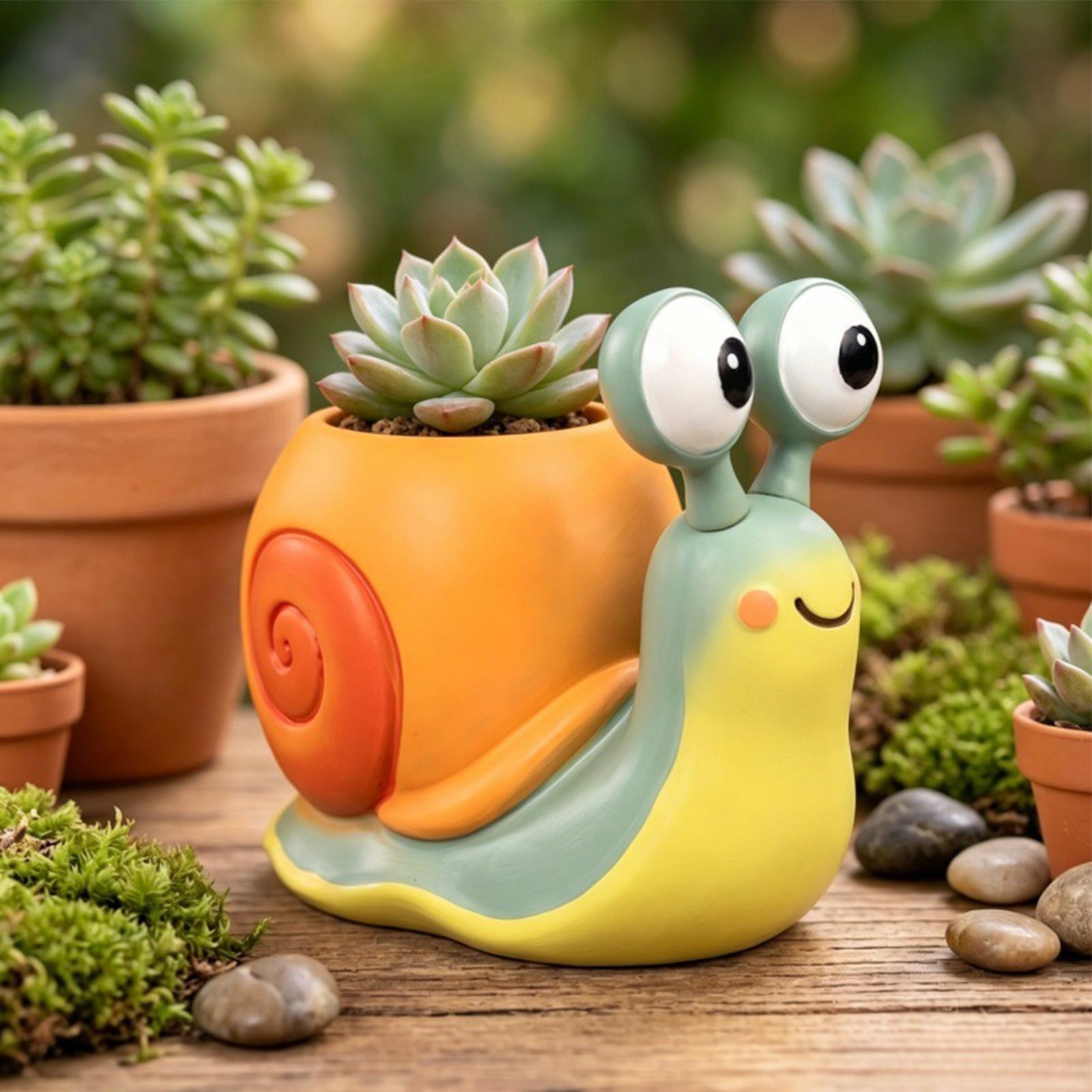 Snail Shape Flower Pot Snail f - огляд і ціна Echeveria Succulent