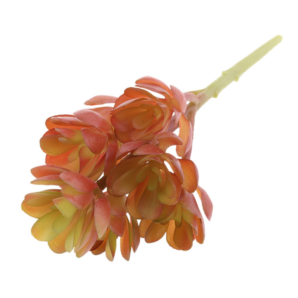 Plastic Artificial Succulents  - огляд і ціна Echeveria Succulent
