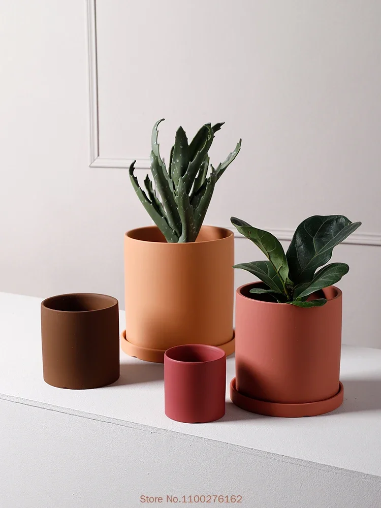 1pc New Pure Color Ceramic Flo - огляд і ціна Echeveria Succulent