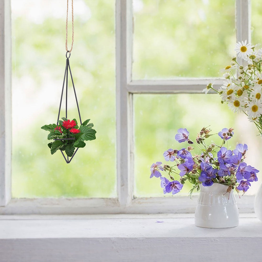 2Pcs Hanging Air Plant Holder  - огляд і ціна Spider Plant Hanging