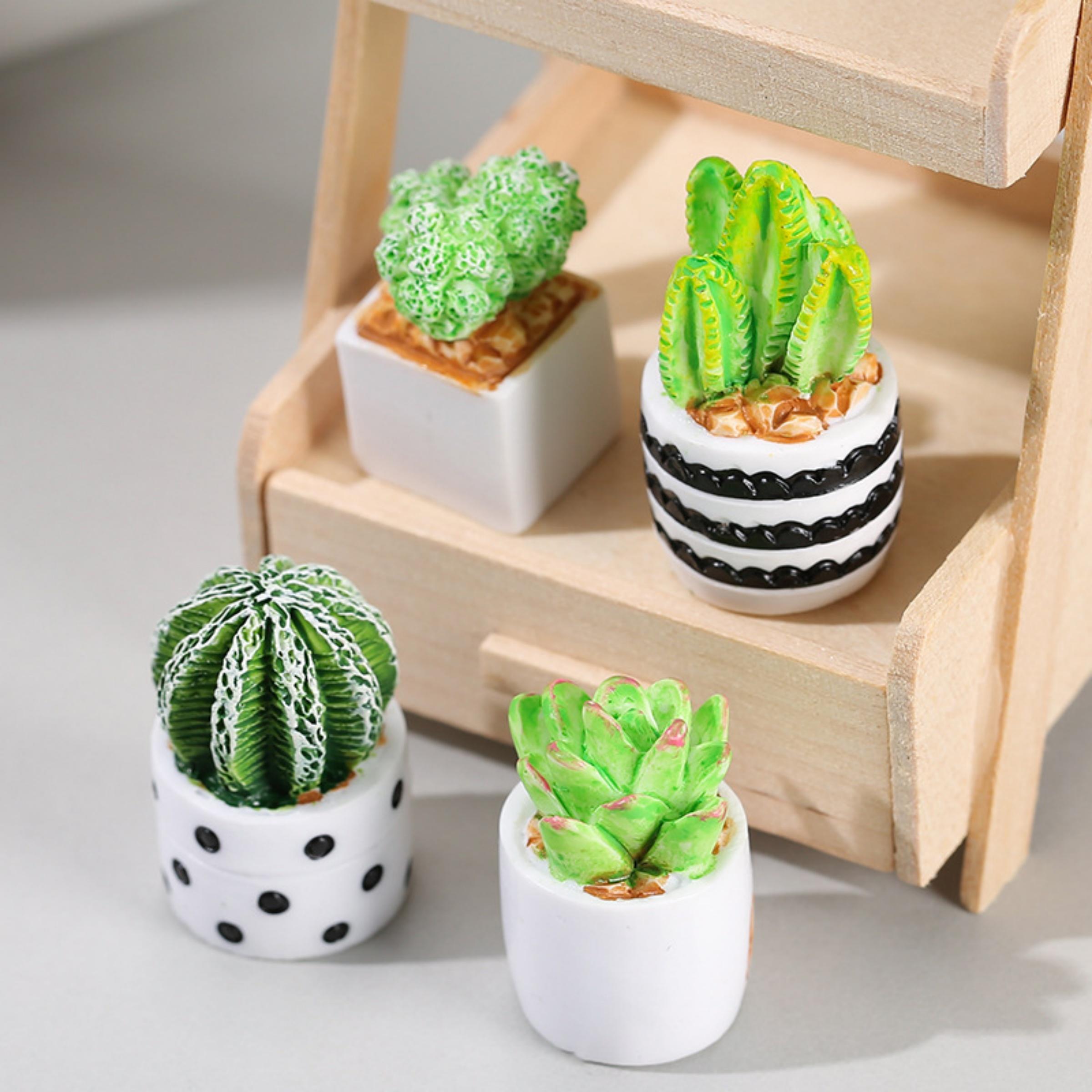 4-Piece Set of Cactus Succulen - огляд і ціна Echeveria Succulent